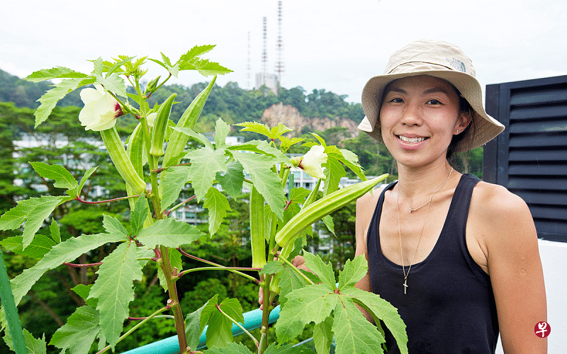 丁玉莲认为无论是用种子或购买盆栽来种,只要看到植物茁壮成长,都是