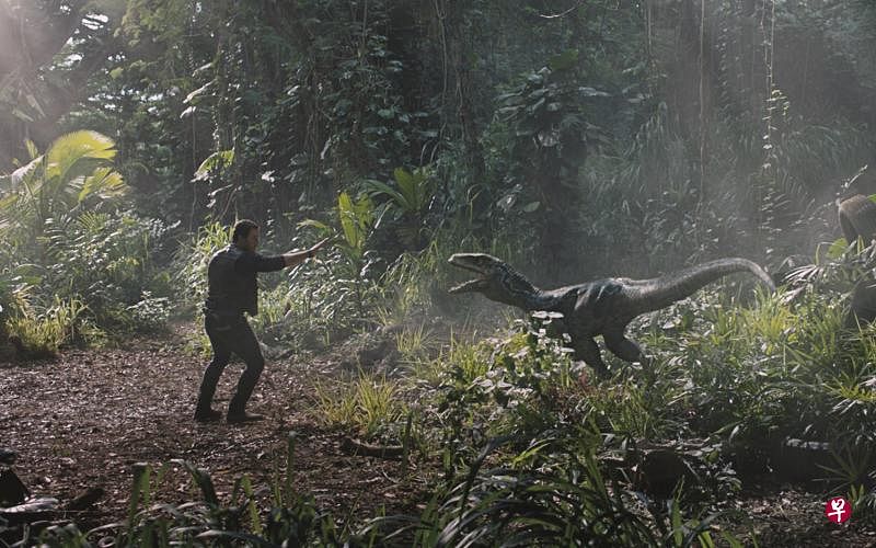 《侏罗纪世界:殒落国度》女主角布莱丝:下集主角应是迅猛龙blue