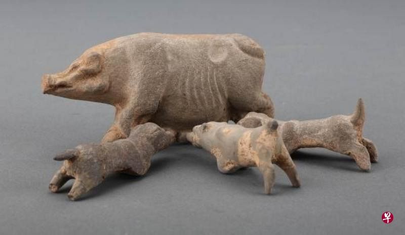 博物馆办猪生肖展 中国文物中的猪形象