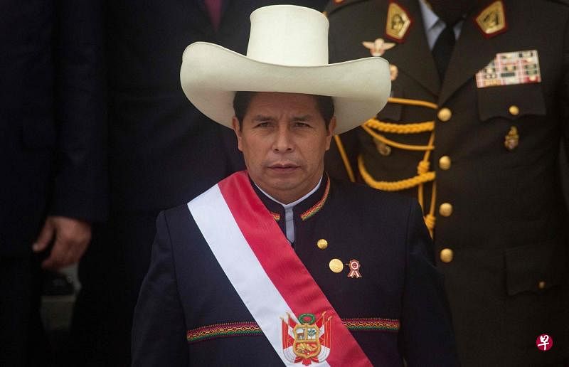 卡斯蒂略宣誓就任秘鲁总统